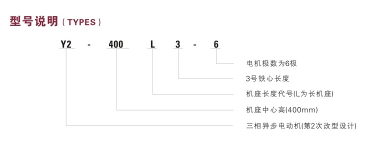 Y2VF400低壓變頻調(diào)速電機型號說明